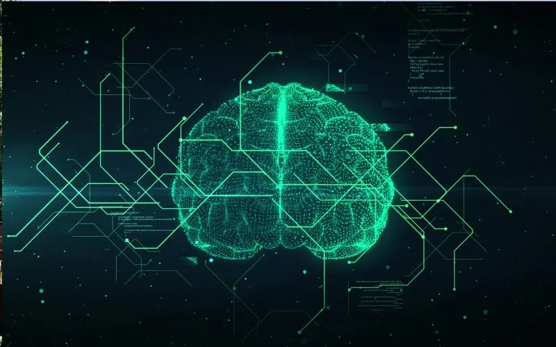 Which Software Is Used for 3D Animation?